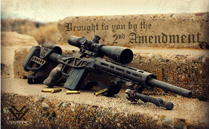 Run the Gun - Pistol - Rifle